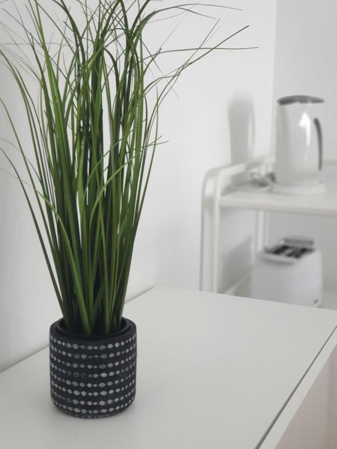 Palmeira Comfort Aveiro Eksteriør billede